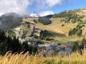 Appart avec VUE, proche PISTES domaine ALPE d'HUEZ